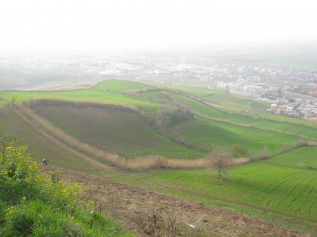 منهم به ایران برگشتم